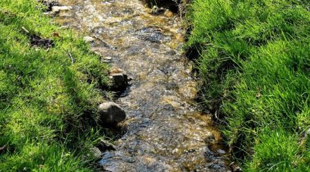 Poziv Direkcije RS za vode lastnikom priobalnih zemljišč ob vodotokih 2. reda