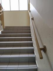 Obnova Športne dvorane