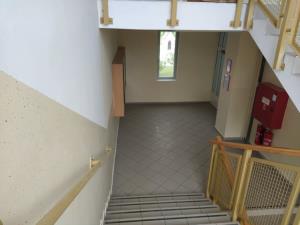 Obnova Športne dvorane