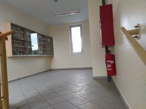 Obnova Športne dvorane