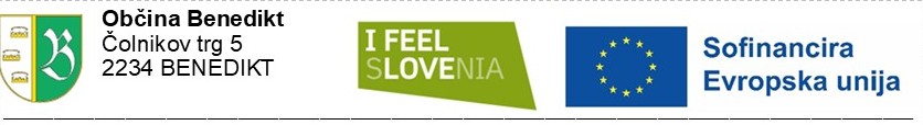 Publikacija1